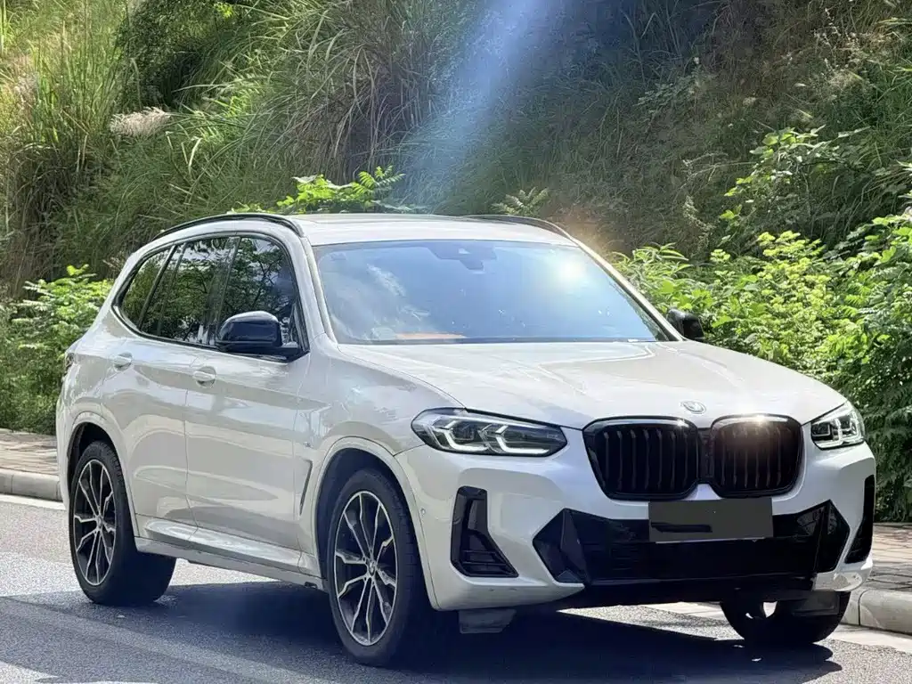 BMW X3 — миниатюра 3