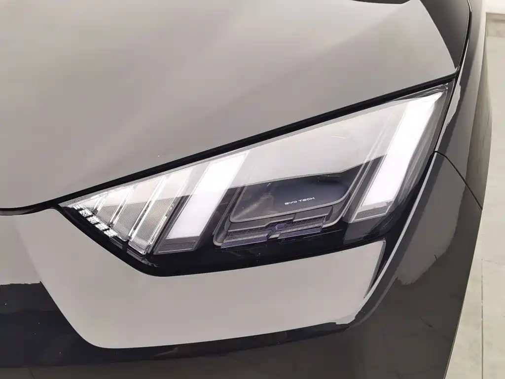 BYD Seagull 2024 305km Freedom