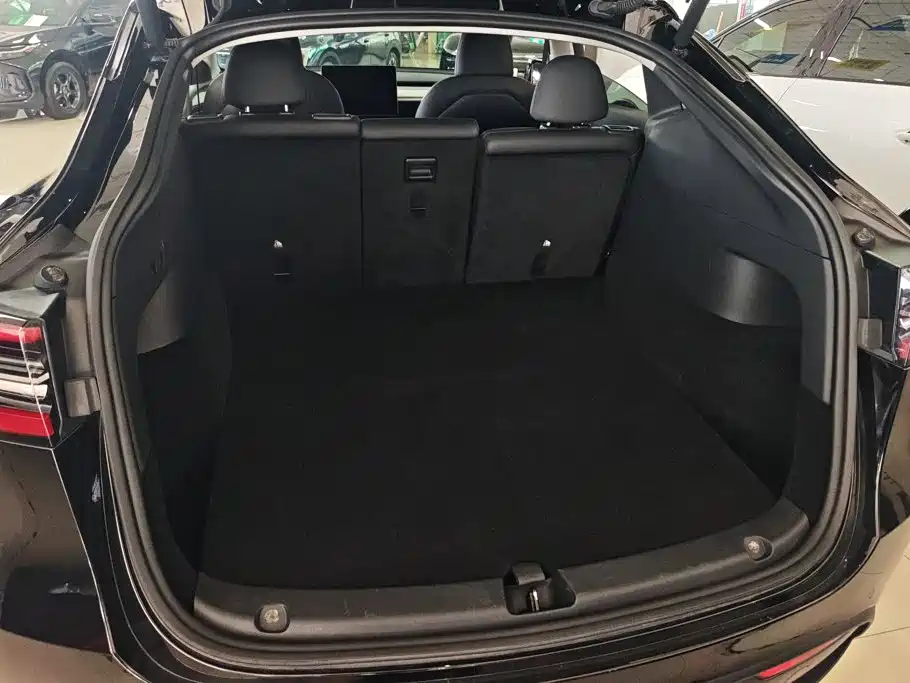 Tesla Model Y — миниатюра 4