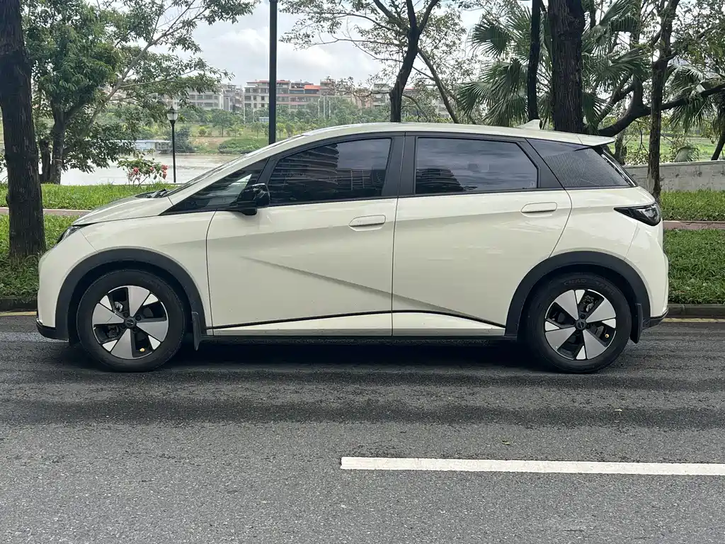 BYD Dolphin — миниатюра 2