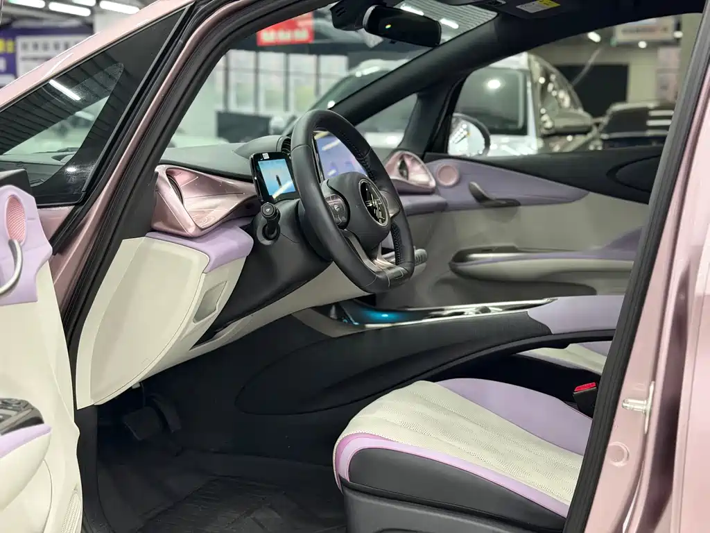 BYD Dolphin 2024 420km Fashion