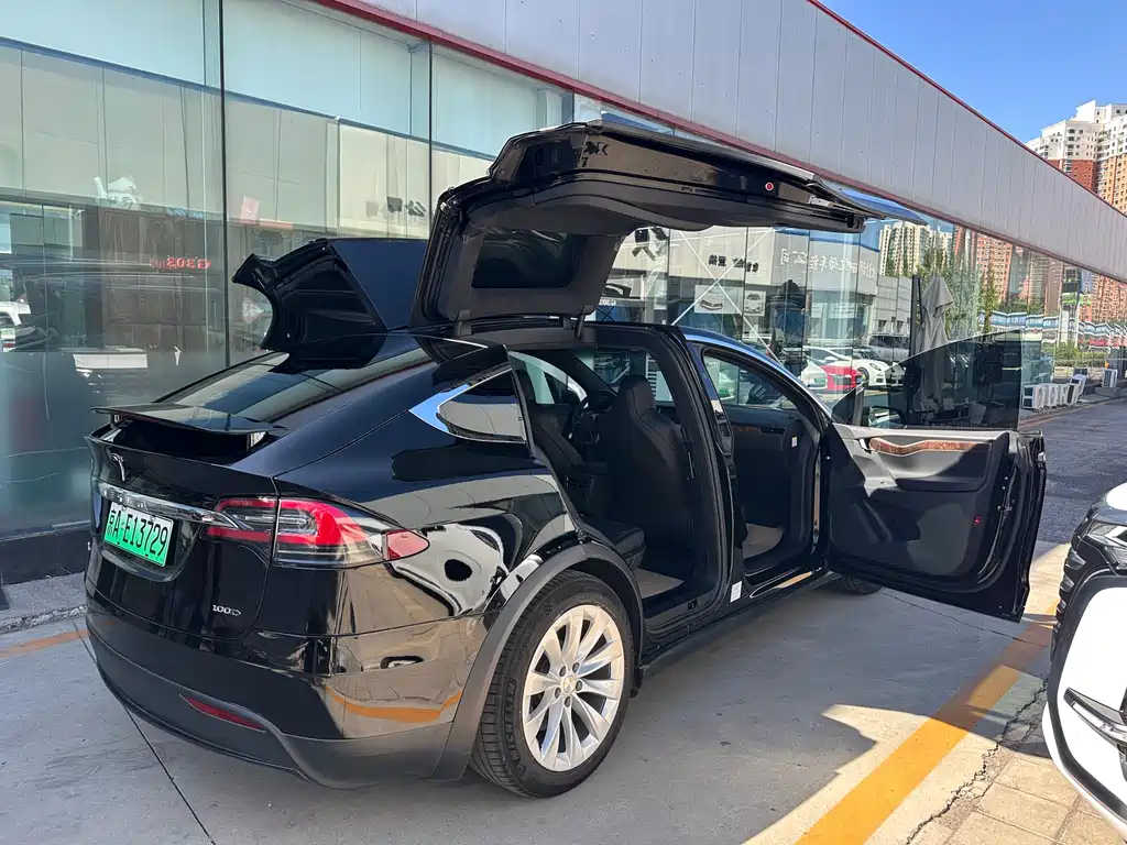 TESLA MODEL X