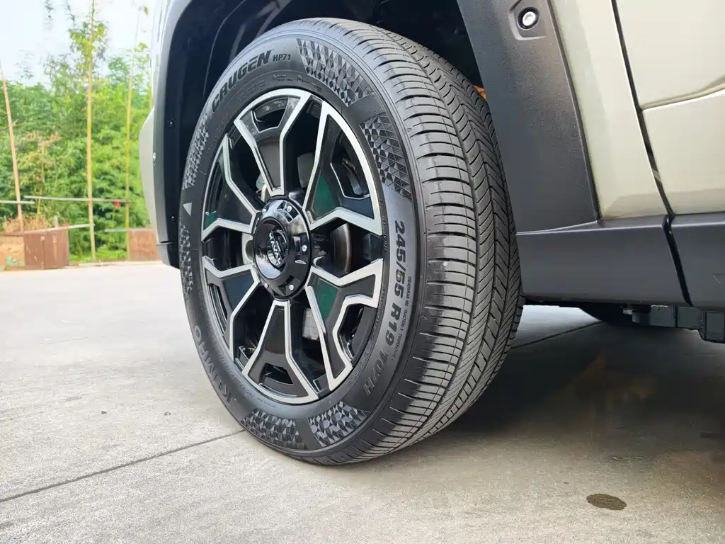 Haval Big Dog PLUS New Energy — миниатюра 9