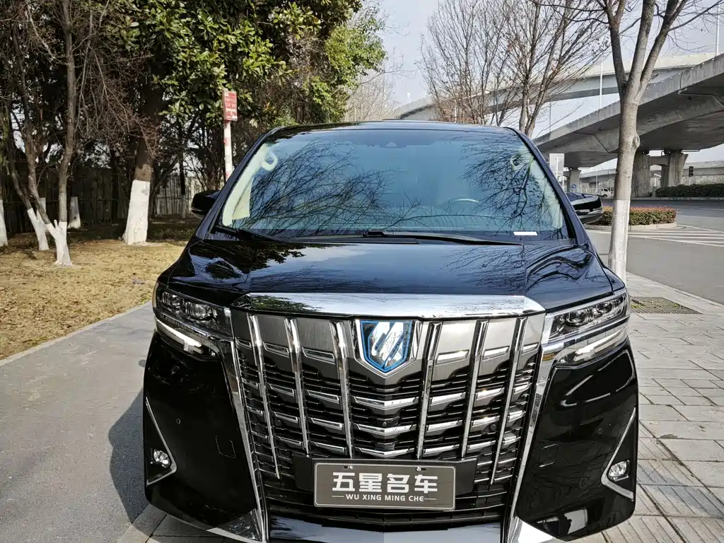 Toyota Alphard 2019 2.5L Luxury