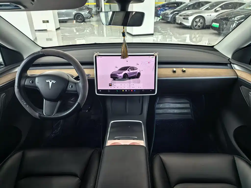 Tesla Model Y — миниатюра 3