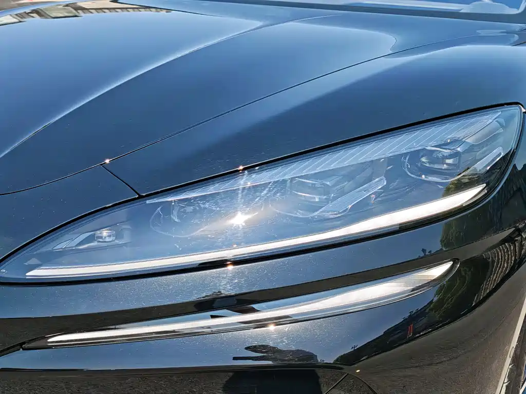 Denza Z9 2024 1100km Max
