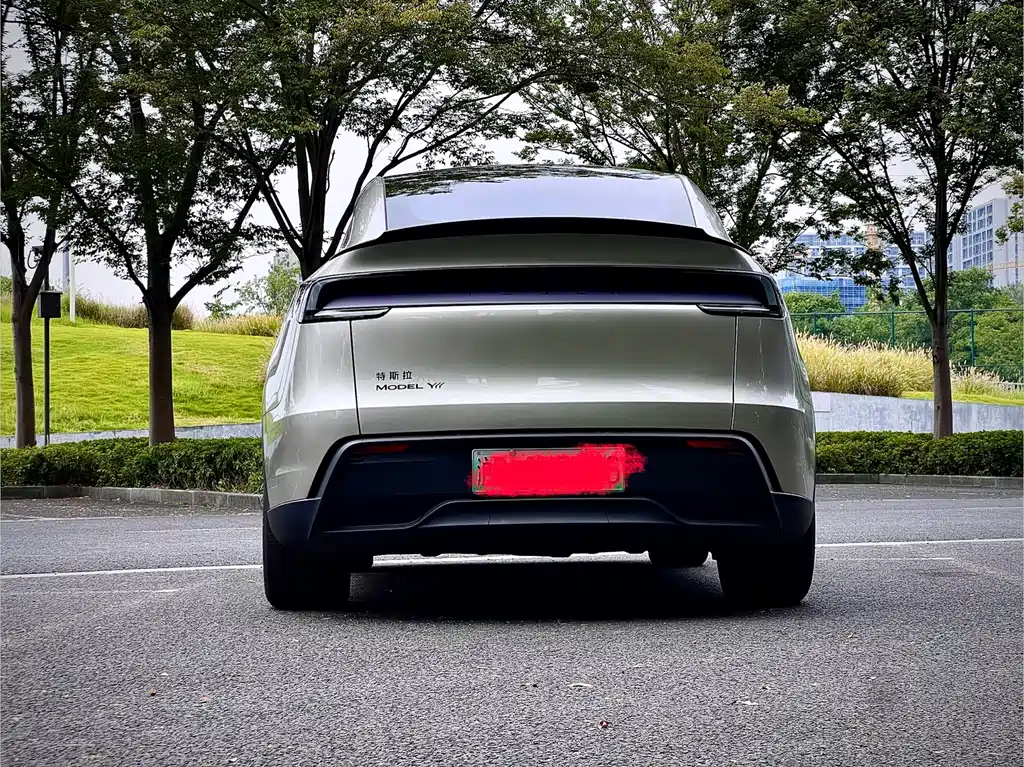 Tesla Model Y L — фотографии объявления, Фото 6