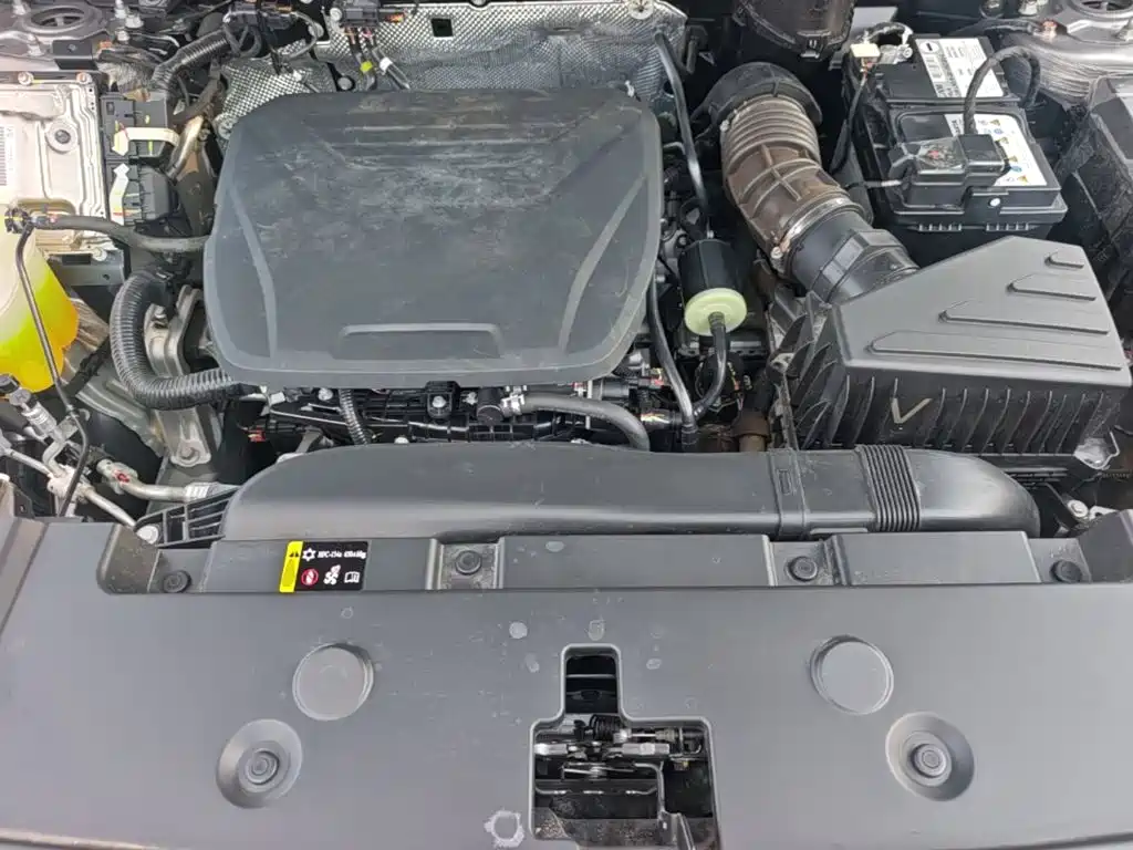 Haval Big Dog PLUS — миниатюра 20