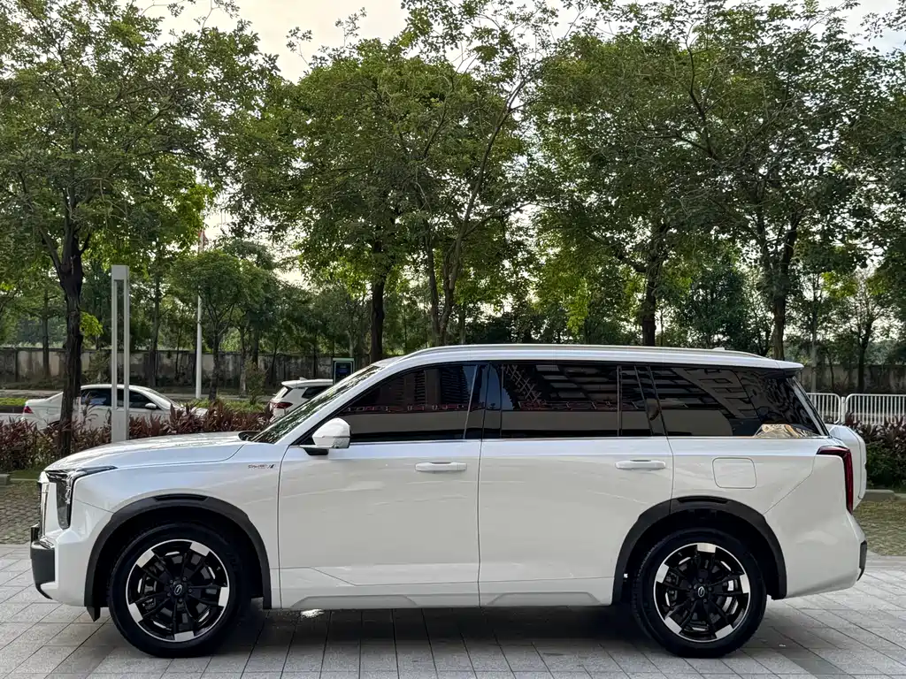GAC Motor ES9 PHEV 143km Traveler Max, фото 15