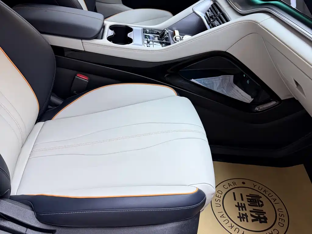 BYD PLUS New Energy — миниатюра 11