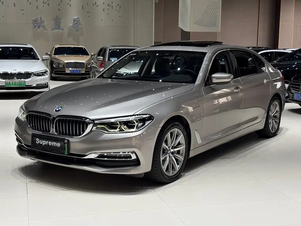 BMW 5 Series 5 2019 530Le Luxury
