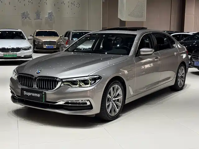 BMW 5-Series 2019 530 Le — фото 1
