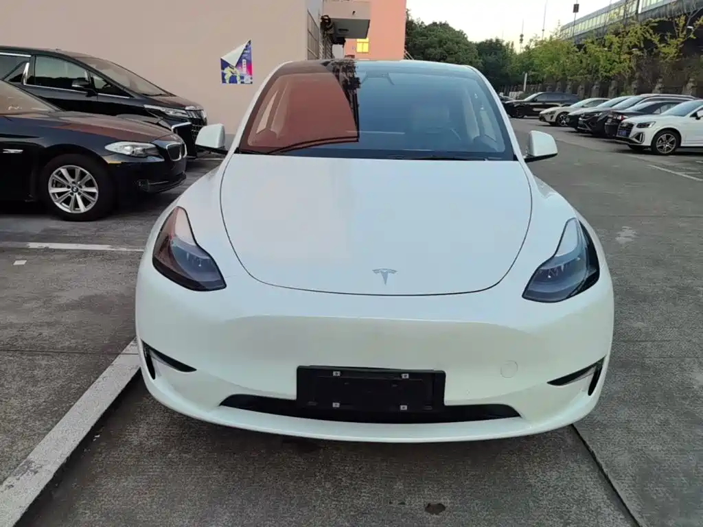 Tesla Model Y — миниатюра 3