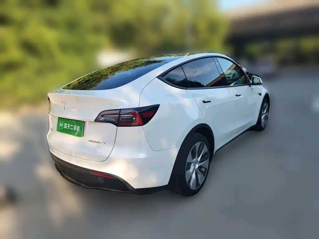 Tesla Model Y — миниатюра 4