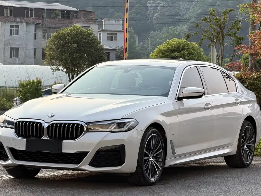 BMW 5 Series 2020
