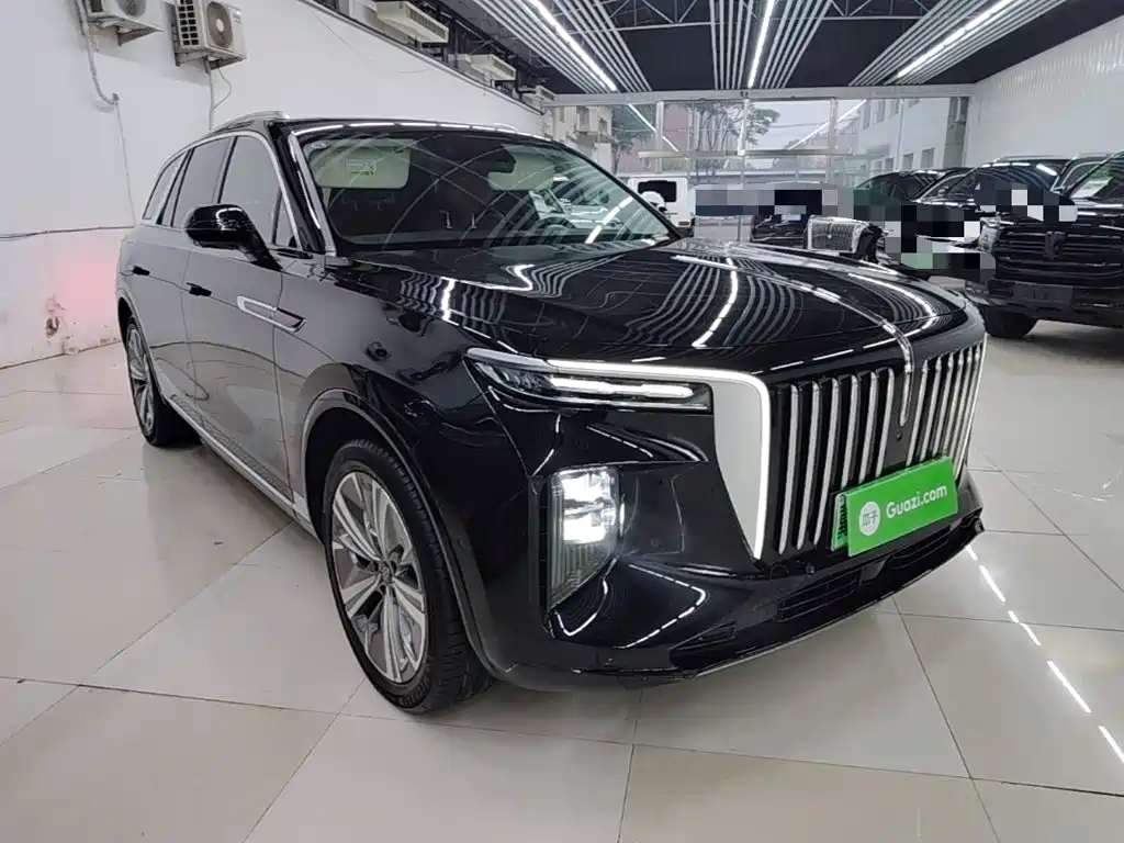 Hongqi Hongqi E-HS9 — миниатюра 4