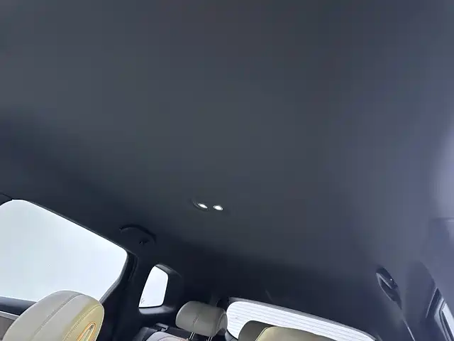 BYD Pro New Energy — миниатюра 15