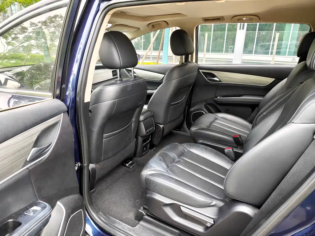 BYD MAX New Energy — миниатюра 6