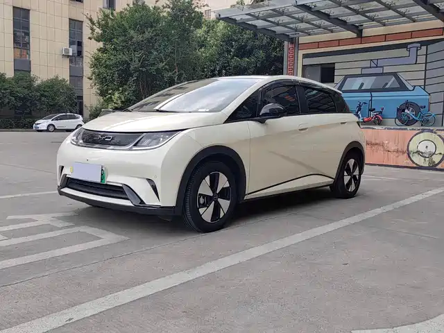 2024 BYD Dolphin