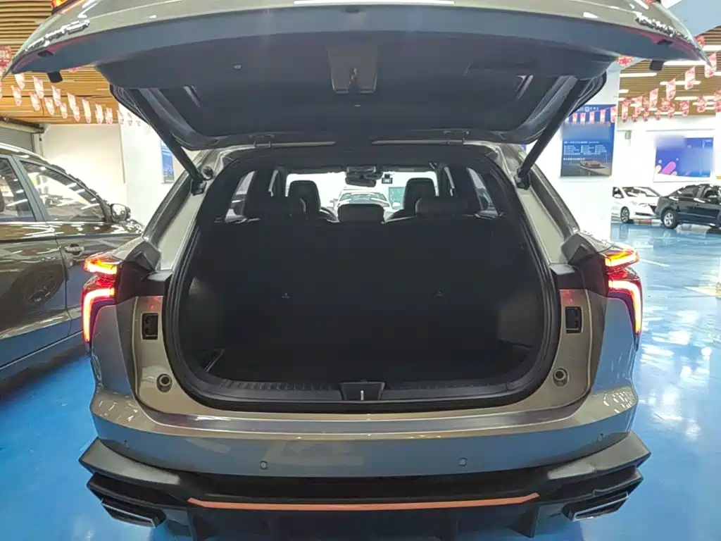 Haval Shenshou — миниатюра 19