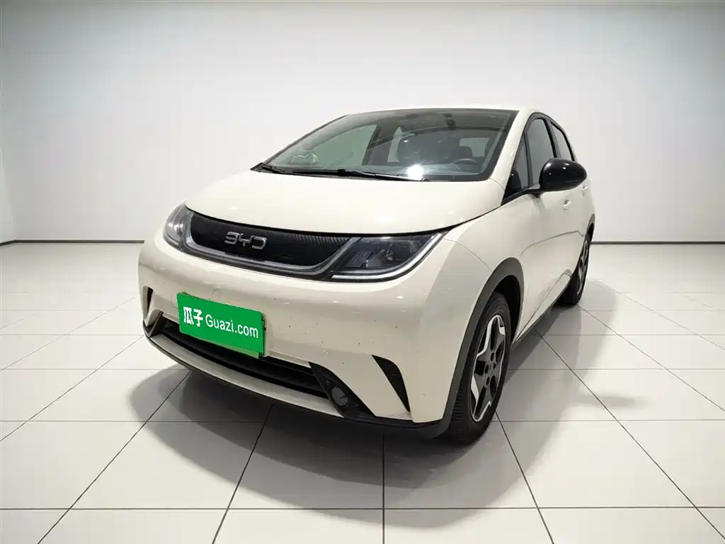 Byd Dolphin 2024