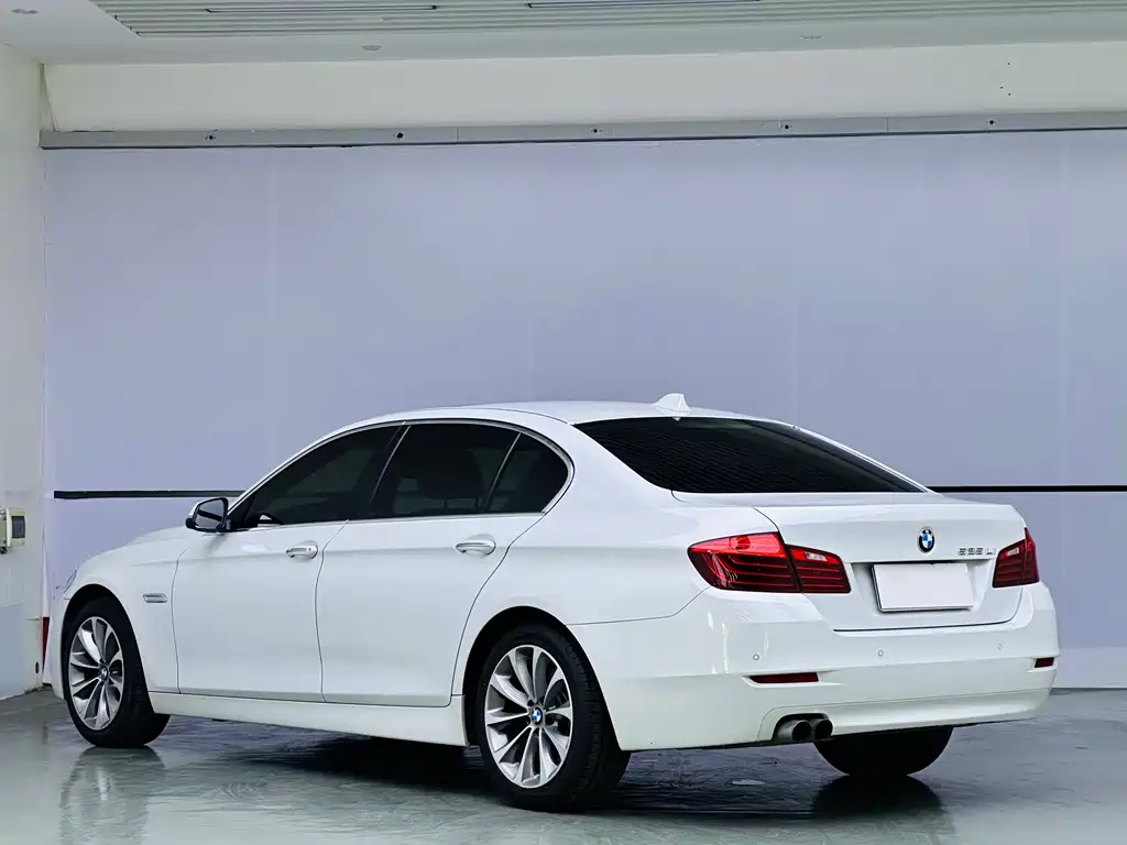 BMW 5 Series 5 2017 525Li Lead
