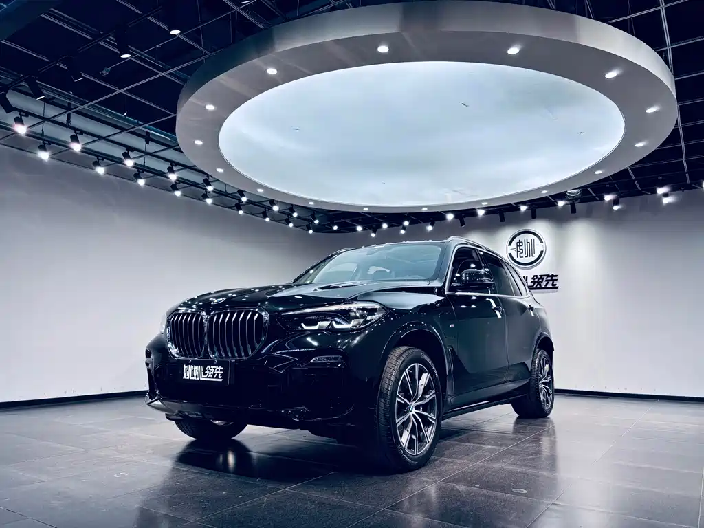 BMW X5 New Energy (Import) 2020