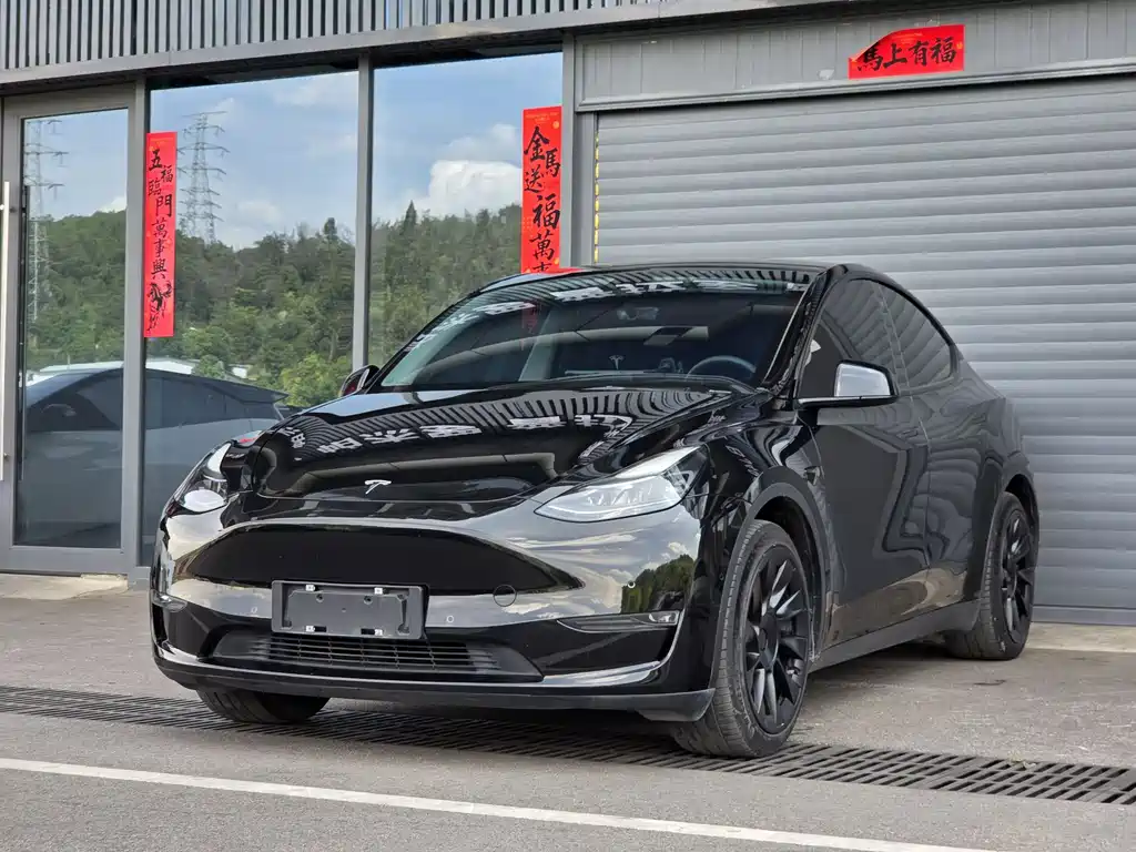 Tesla Model Y 2021