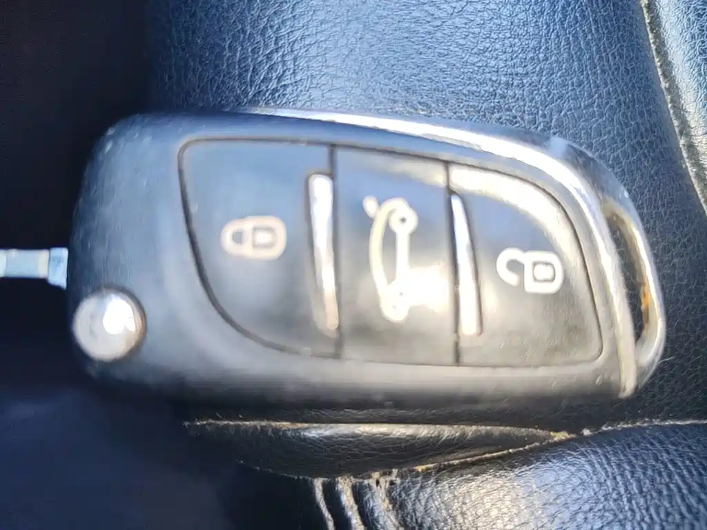 DS DS 5LS — миниатюра 9