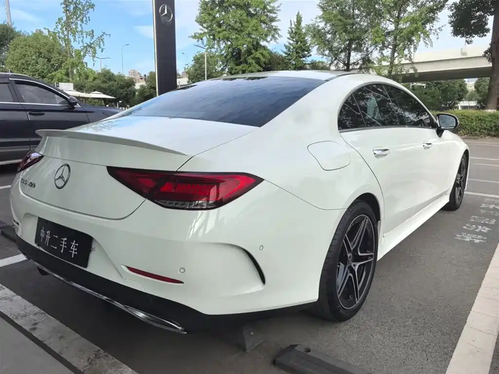 Mercedes-Benz CLS 2021 CLS 300 Luxury