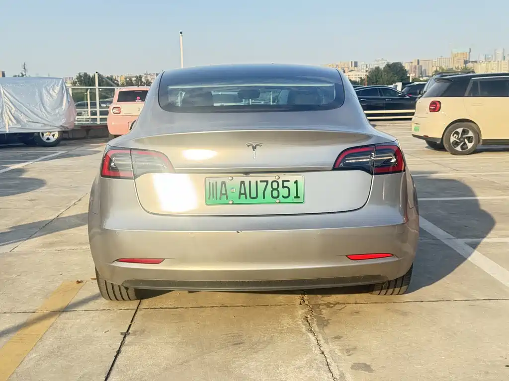 Tesla Model 3 — миниатюра 8
