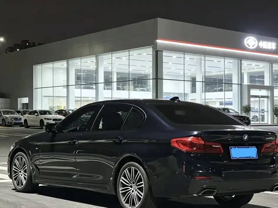 BMW 5 Series 5 2019 530Li Premium M Sport
