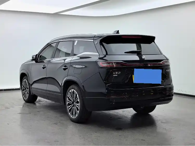 Shanhai Shanhai L9 — миниатюра 6