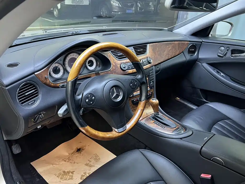 Mercedes-Benz CLS CLS 300, фото 6