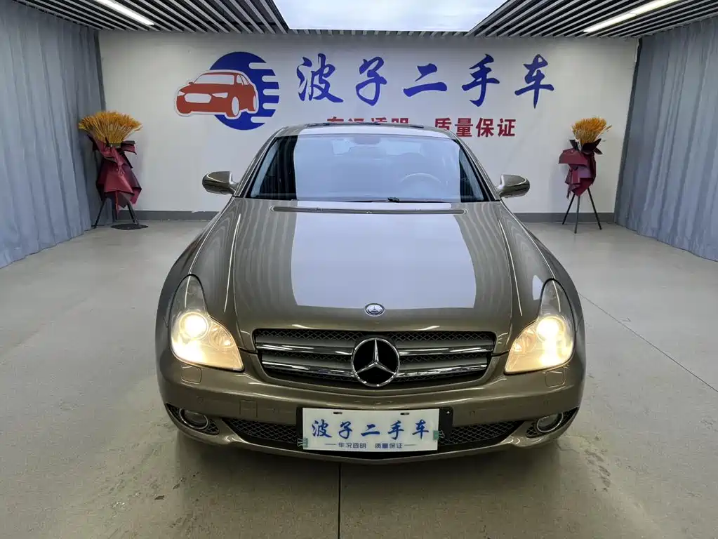 Mercedes-Benz CLS CLS 300, фото 2