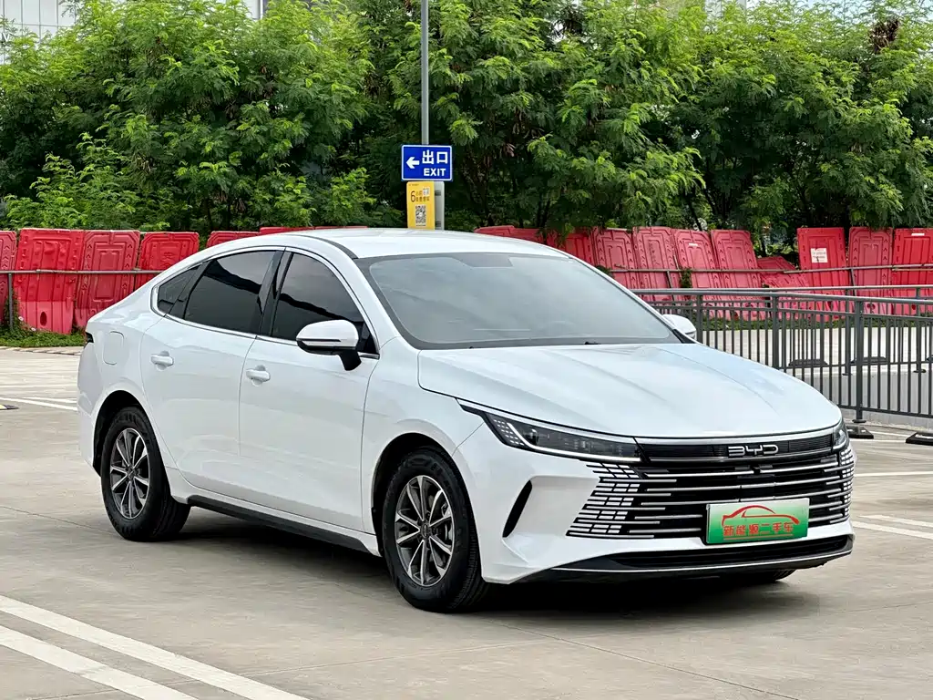 BYD Destroyer 05 2023 Champion DM-i 55KM Luxury