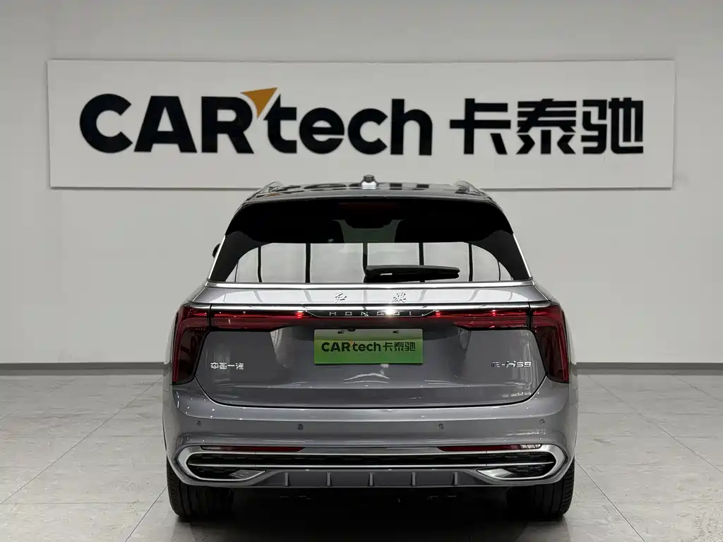 Hongqi E-HS9 2022 690km мест