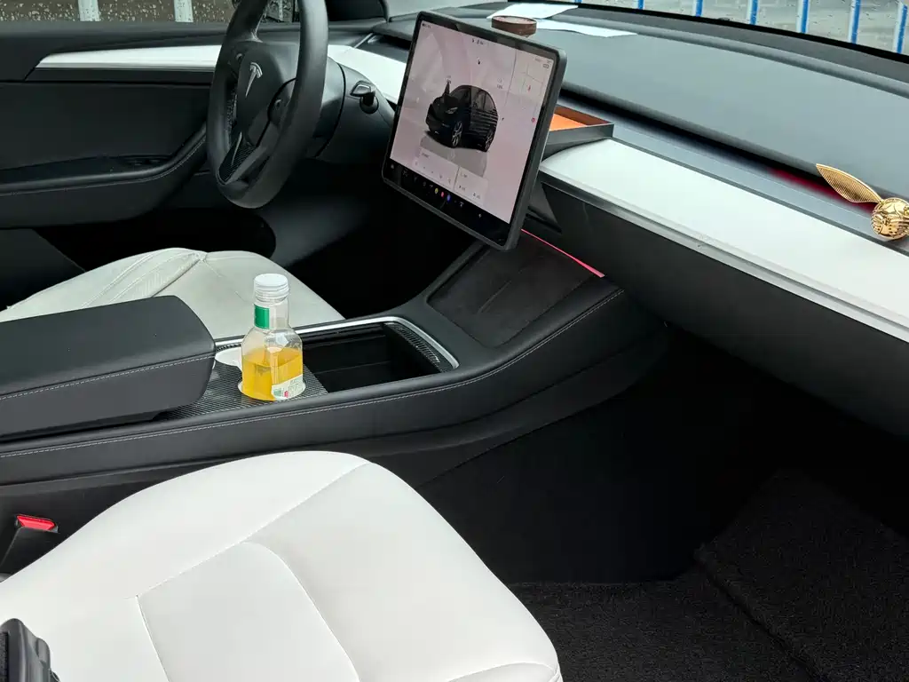 Tesla Model Y — миниатюра 10