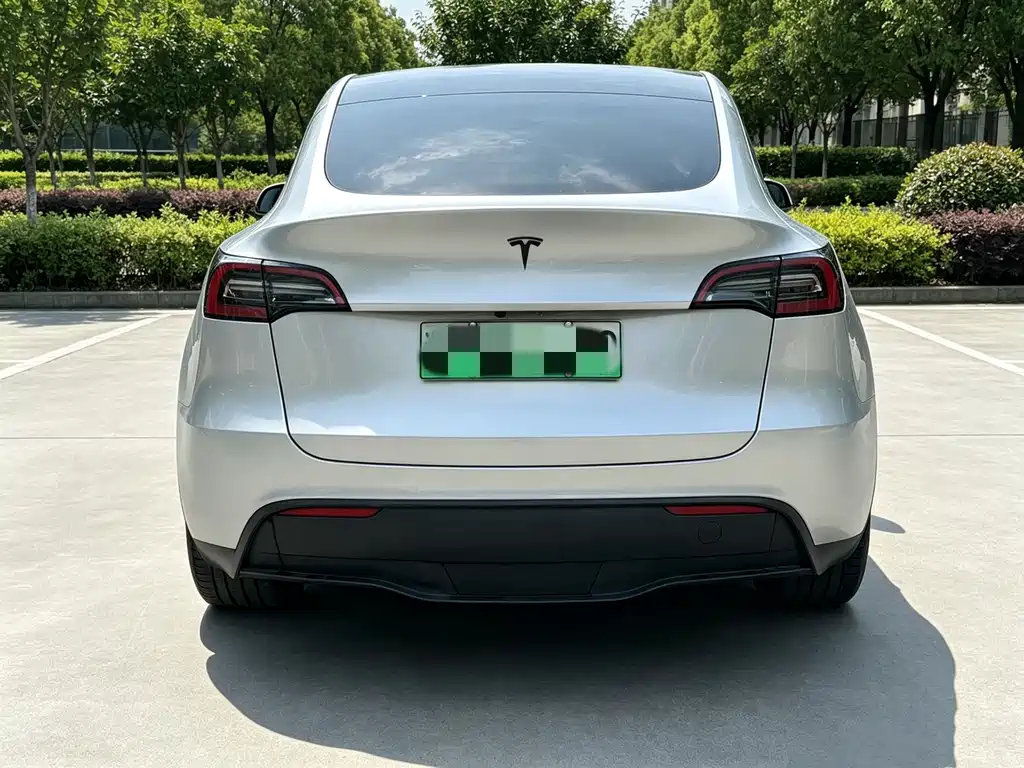 Tesla Model Y — миниатюра 11