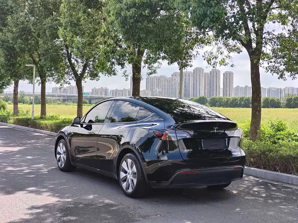 Tesla Model Y — миниатюра 5