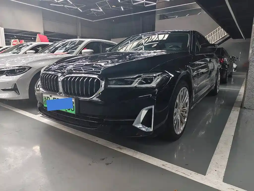 BMW 5 Series New Energy 2021