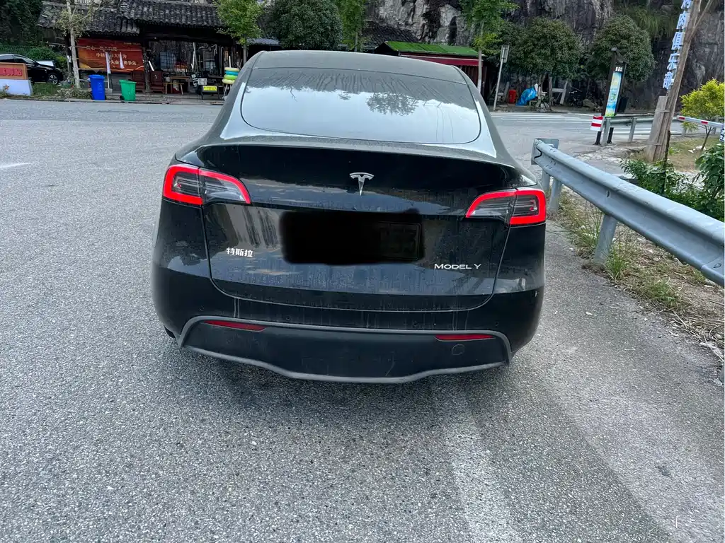 Tesla Model Y — миниатюра 7