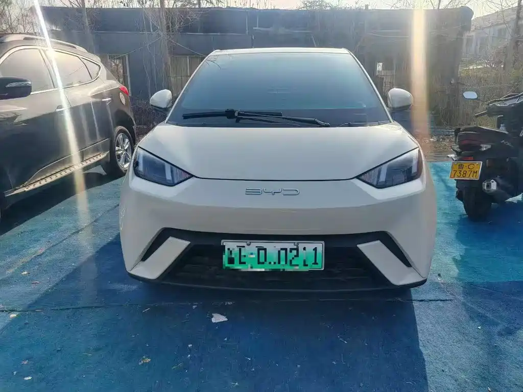 Byd Seagull 2024
