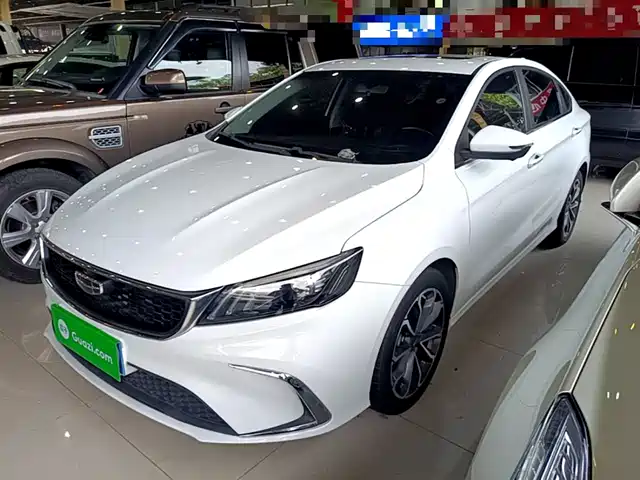 2021 Geely Binrui