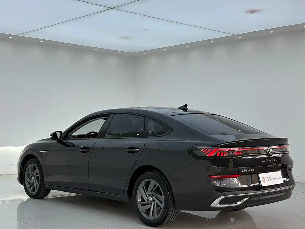 Volkswagen Lamando — миниатюра 7