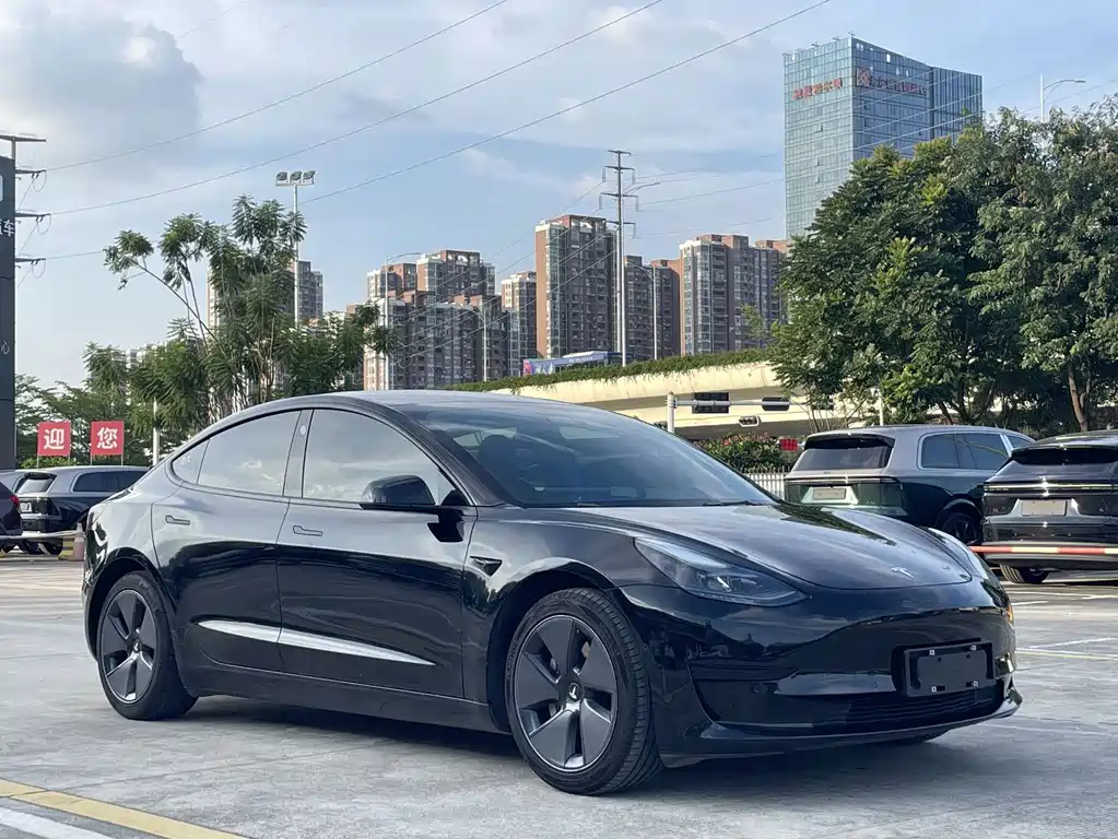 Tesla Model 3 — миниатюра 3