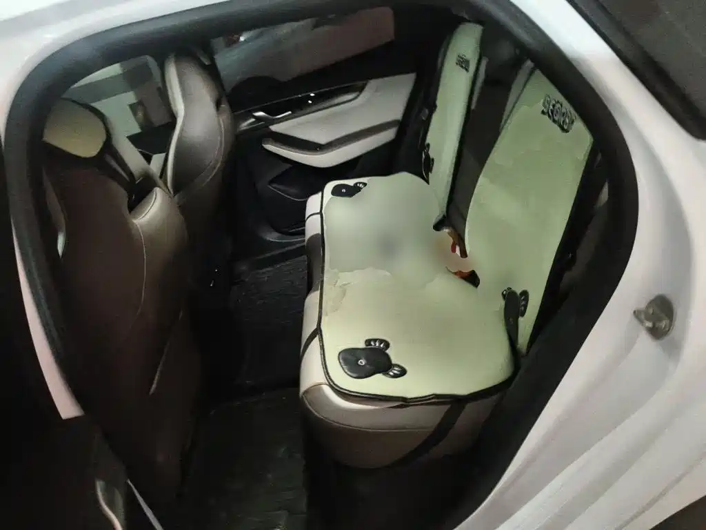 BYD Qin PLUS — миниатюра 13