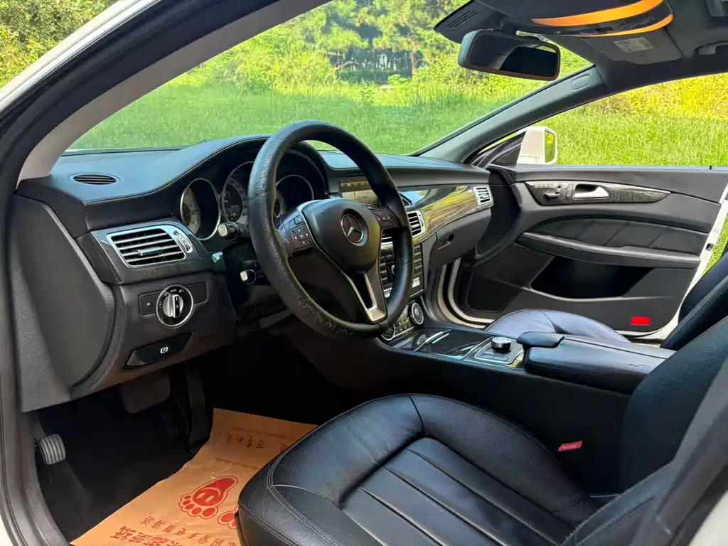 Mercedes-Benz CLS CLS 300 CGI, фото 4