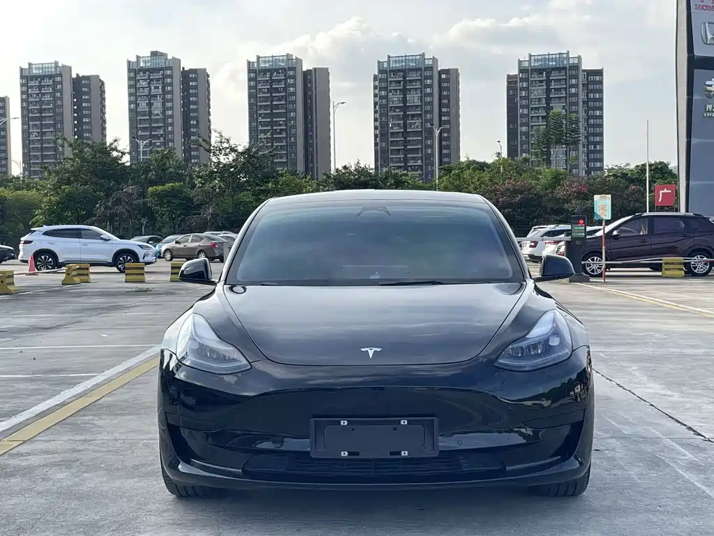 Tesla Model 3 — миниатюра 2
