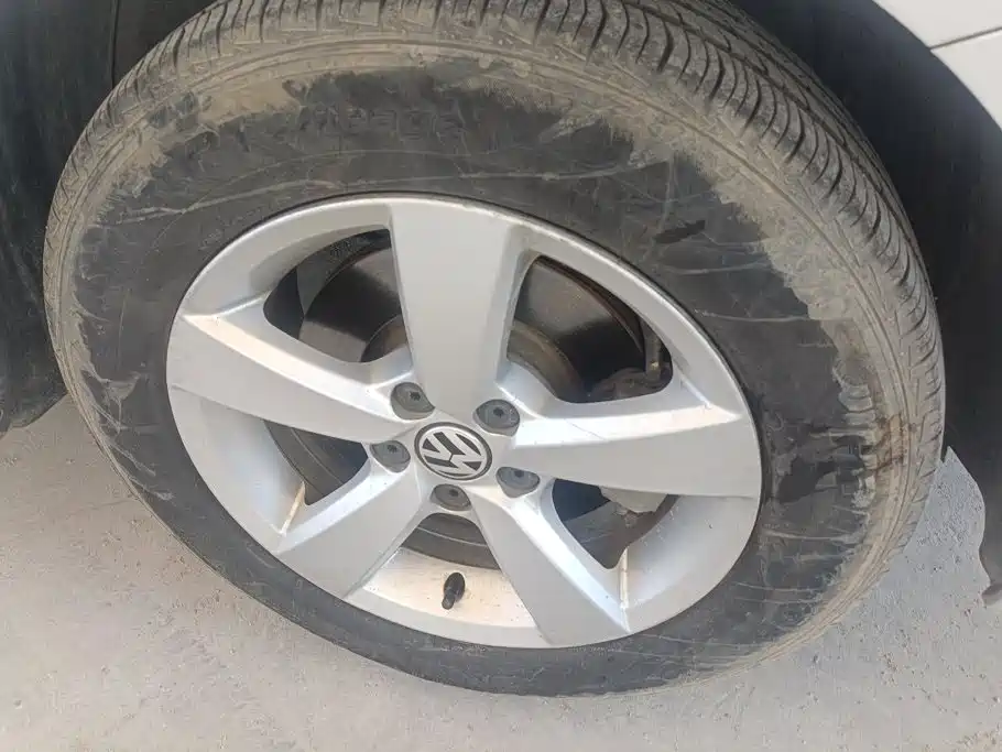 Volkswagen Gran Lavida — миниатюра 6